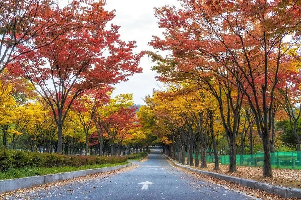 ** モーテル Bupyeong Hotel Duruwa インチョン広域市 韓国
